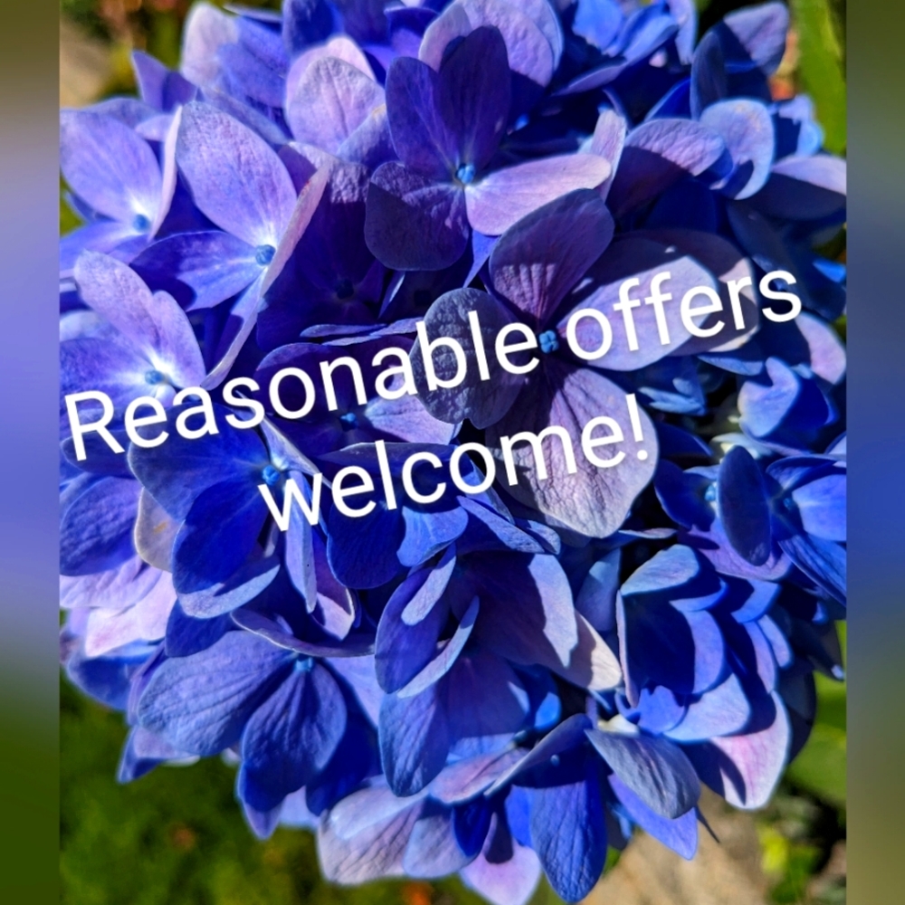Reasonable Offers Welcome